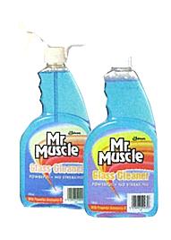 Glass & Surface Cleaner Mr Muscle 500ml Dispens